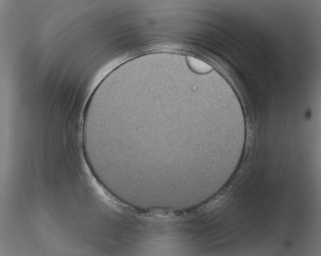 X0000114721050200912021150