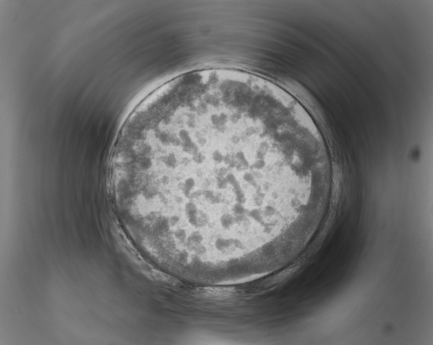 X0000114721052200912021150