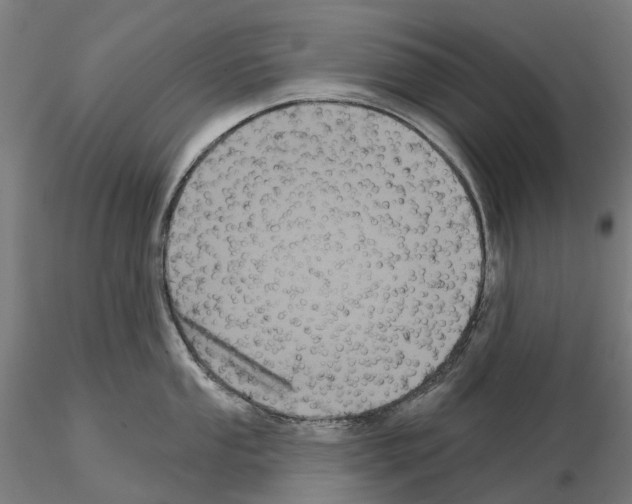 X0000114721053200912021150