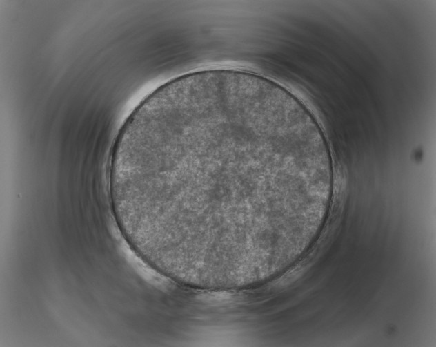 X0000114721054200912021150