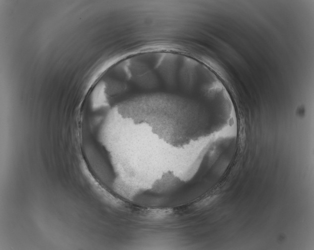 X0000114721055200912021150