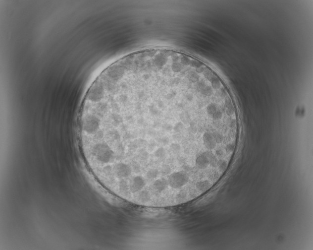 X0000114721056200912021150