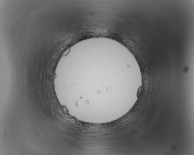 X0000114721057200912021149