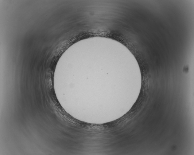 X0000114721058200912021149