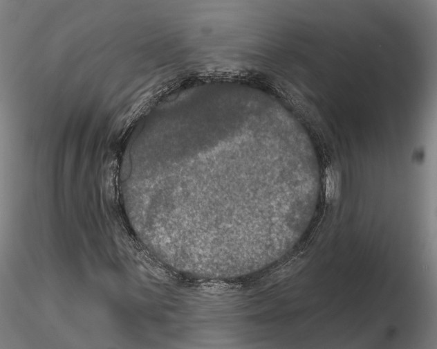 X0000114721059200912021149