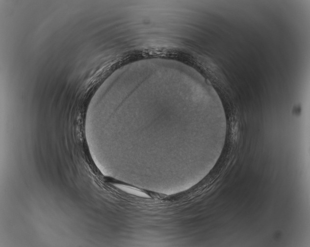 X0000114721060200912021149