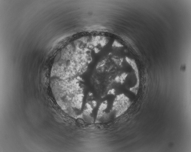 X0000114721063200912021149