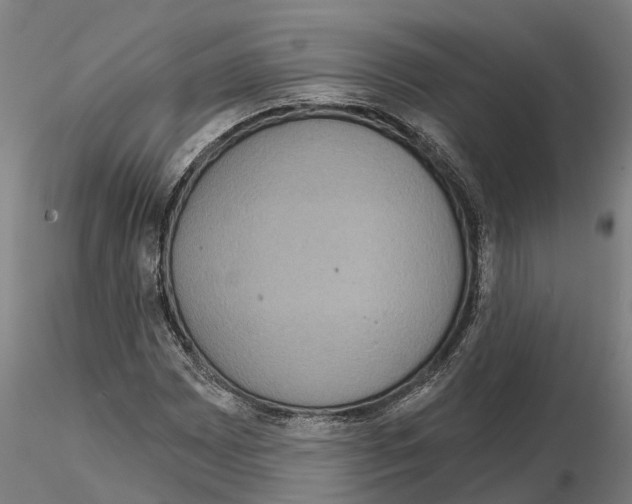 X0000114721065200912021149