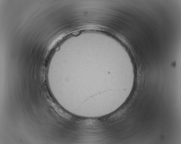 X0000114721067200912021149