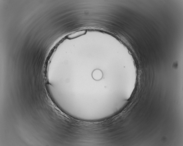 X0000114721068200912021149