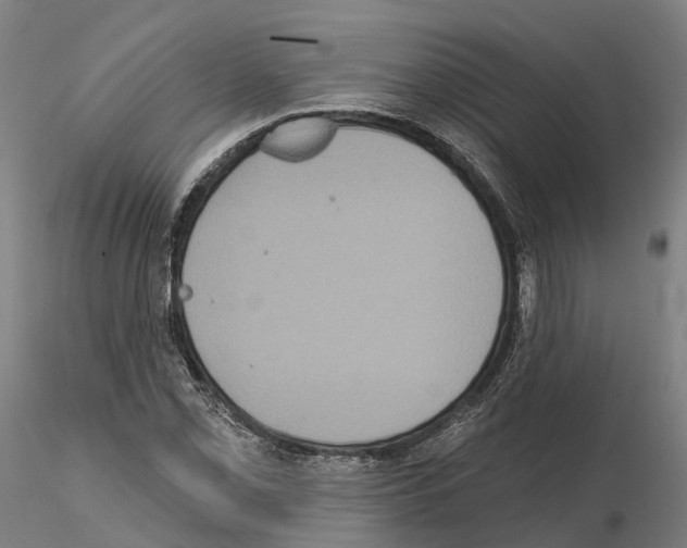 X0000114721069200912021149