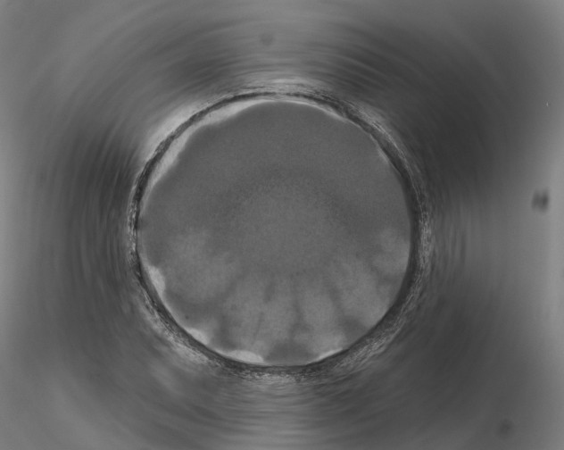 X0000114721071200912021149