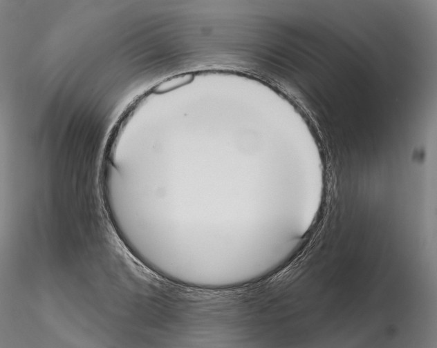 X0000114721072200912021149