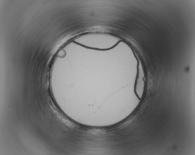 X0000114721075200912021149