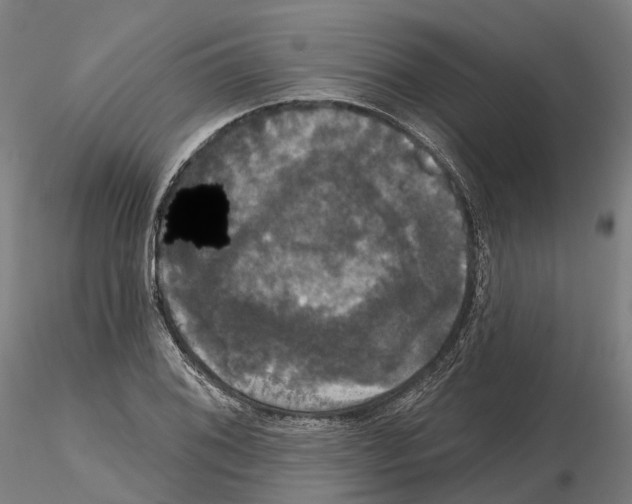 X0000114721076200912021149