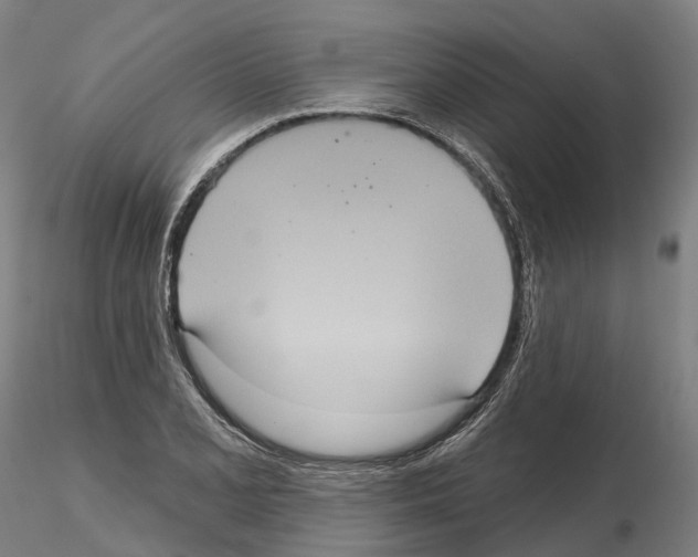 X0000114721077200912021149