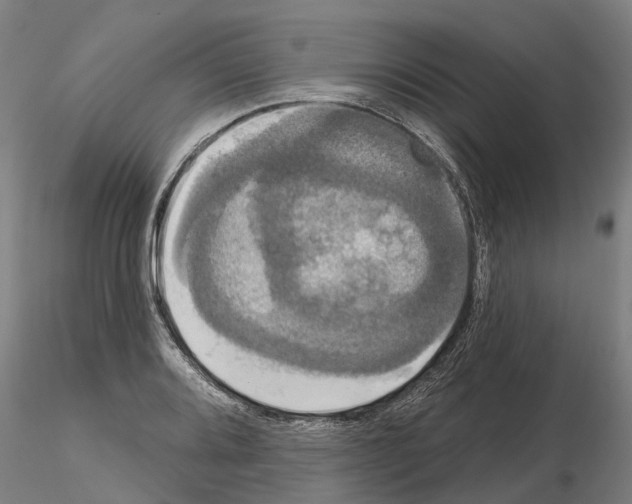 X0000114721080200912021149