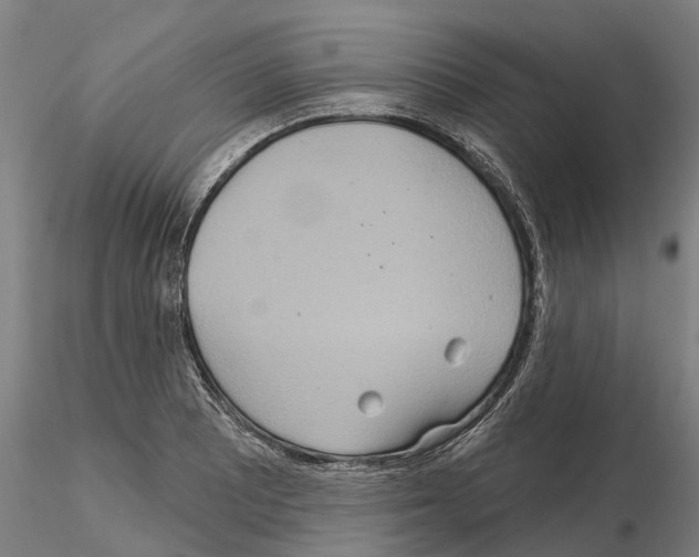 X0000114721081200912021149