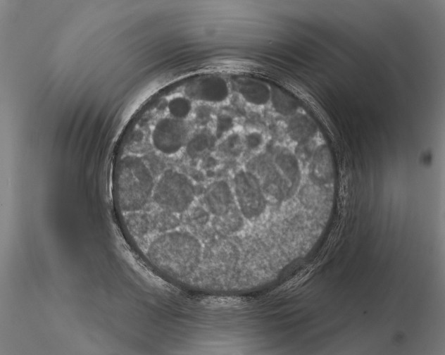 X0000114721083200912021149