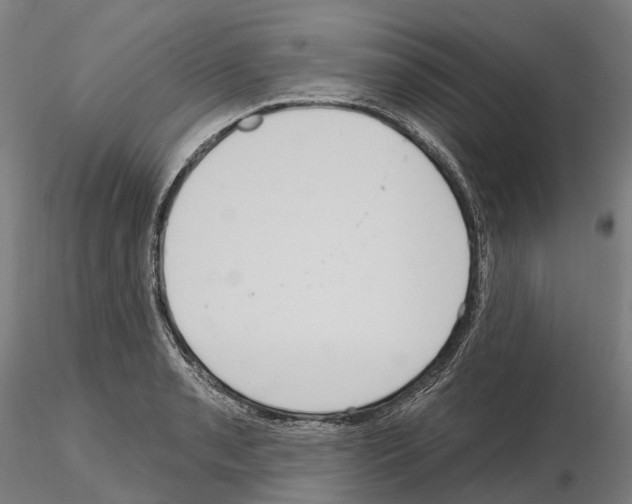 X0000114721085200912021149