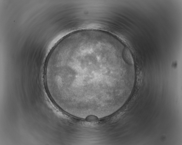 X0000114721086200912021149