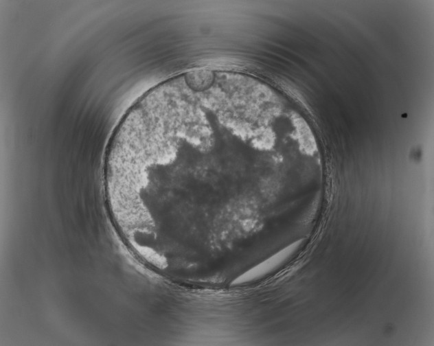 X0000114721087200912021149