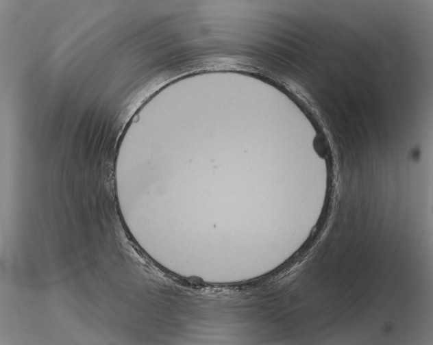 X0000114721089200912021148