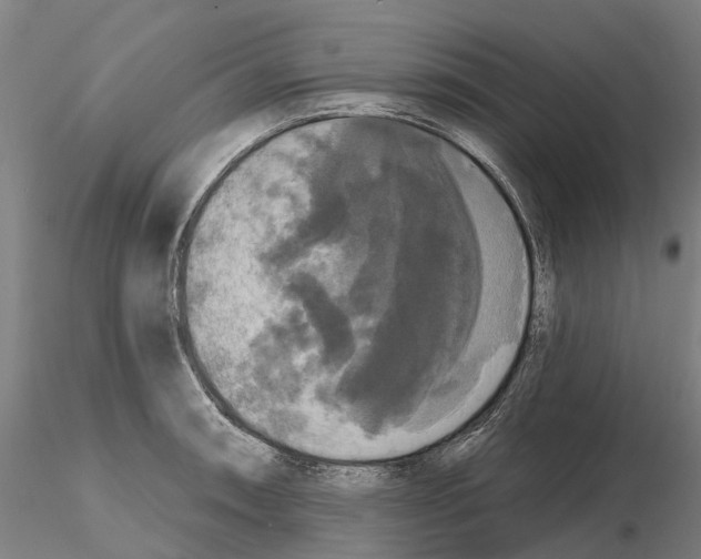 X0000114721090200912021148