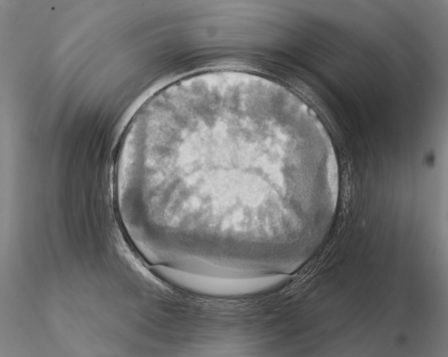 X0000114721092200912021148