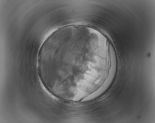 X0000114721095200912021148