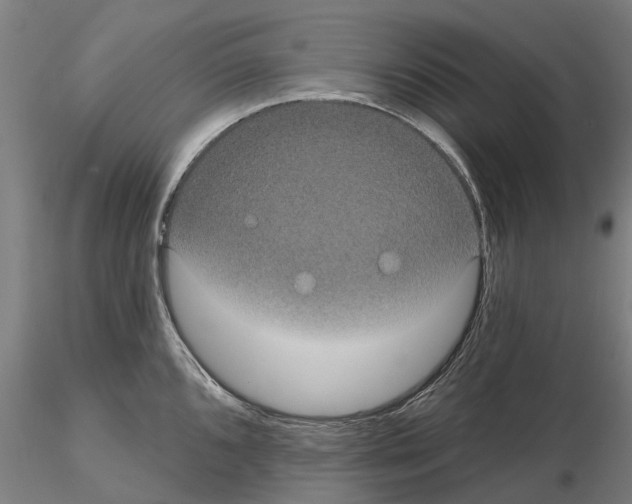 X0000114721096200912021148