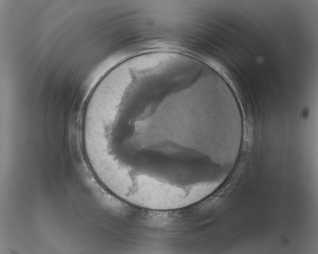 X0000114721098200912021148