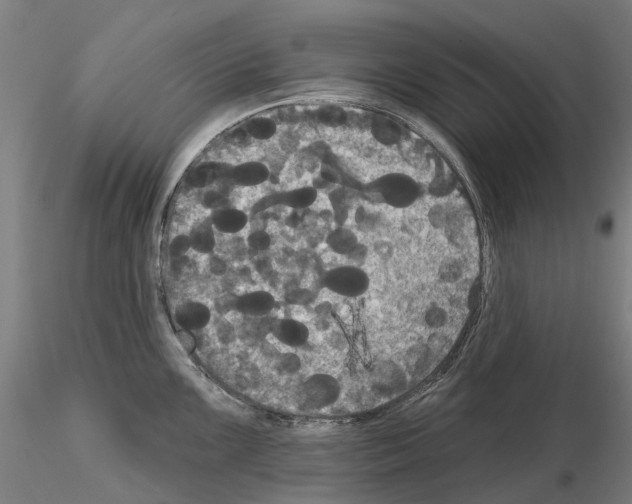 X0000114721099200912021148