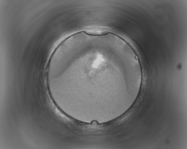 X0000114721102200912021148