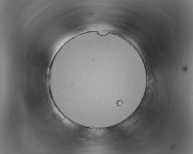 X0000114721103200912021148