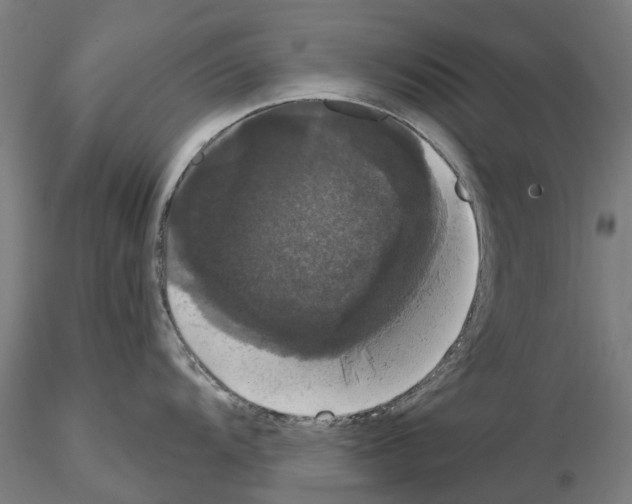 X0000114721104200912021148