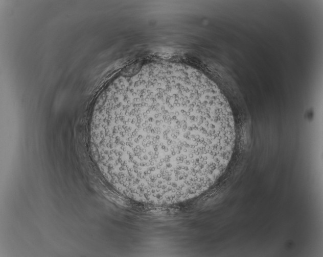 X0000114721105200912021147