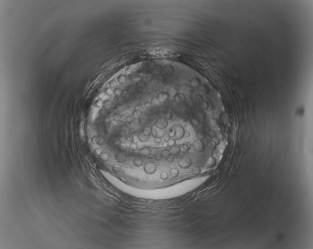 X0000114721106200912021147