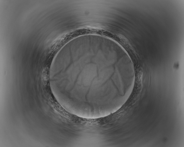 X0000114721110200912021148