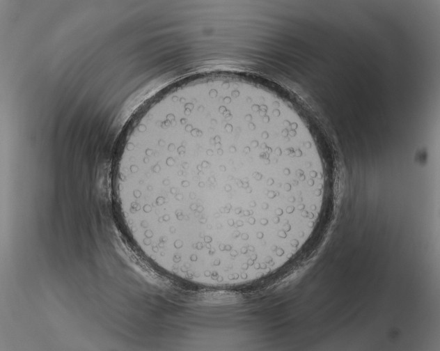 X0000114721113200912021148