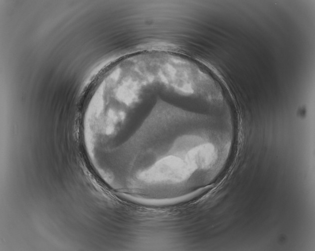 X0000114721115200912021148