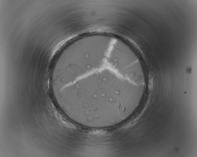 X0000114721117200912021148