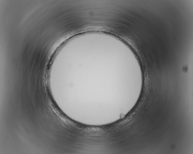 X0000114721119200912021148