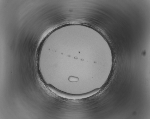 X0000114721122200912021148