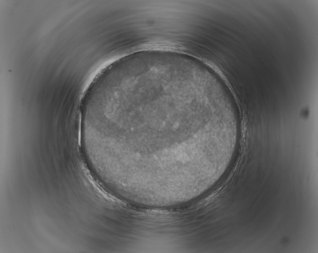 X0000114721123200912021148