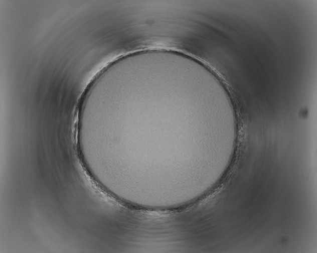 X0000114721126200912021148