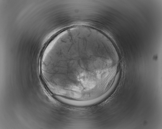 X0000114721127200912021148