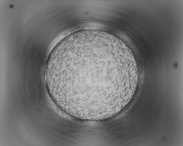 X0000114721130200912021148