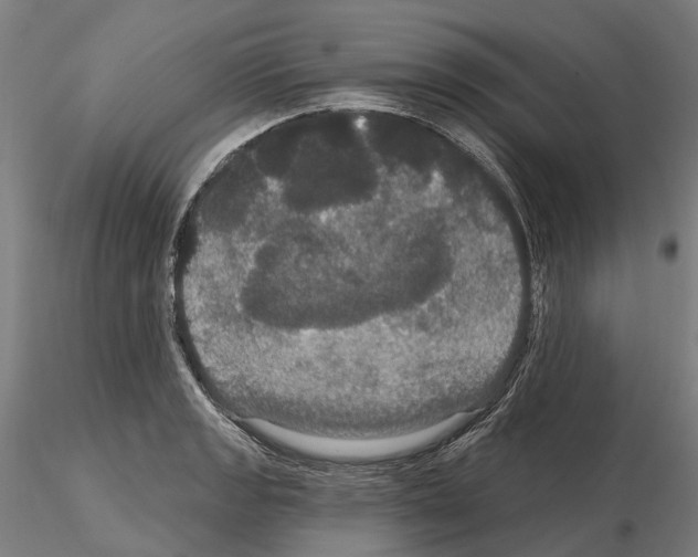 X0000114721133200912021148