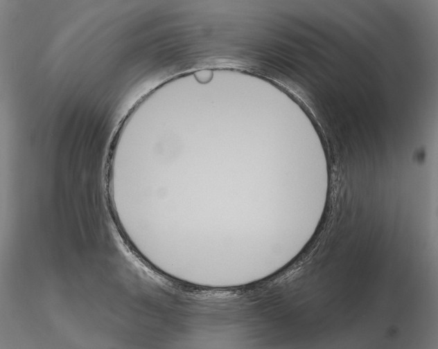 X0000114721135200912021148